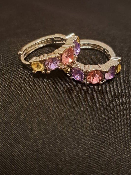 Pink and Purple Hoop Earrings