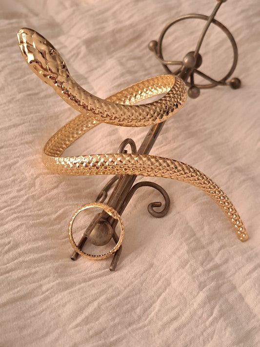 Snake Bracelet and Ring Set