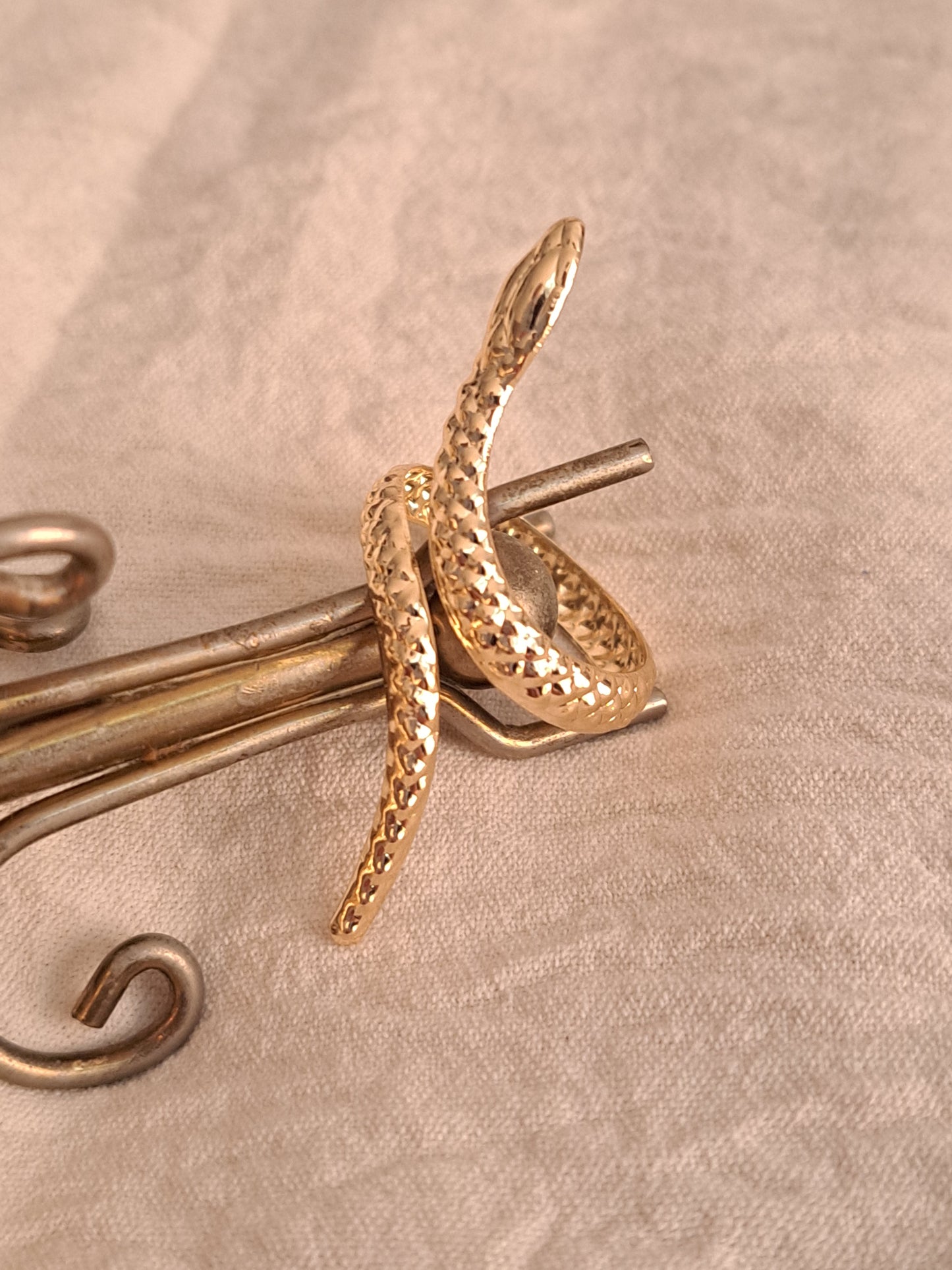 Snake Bracelet and Ring Set