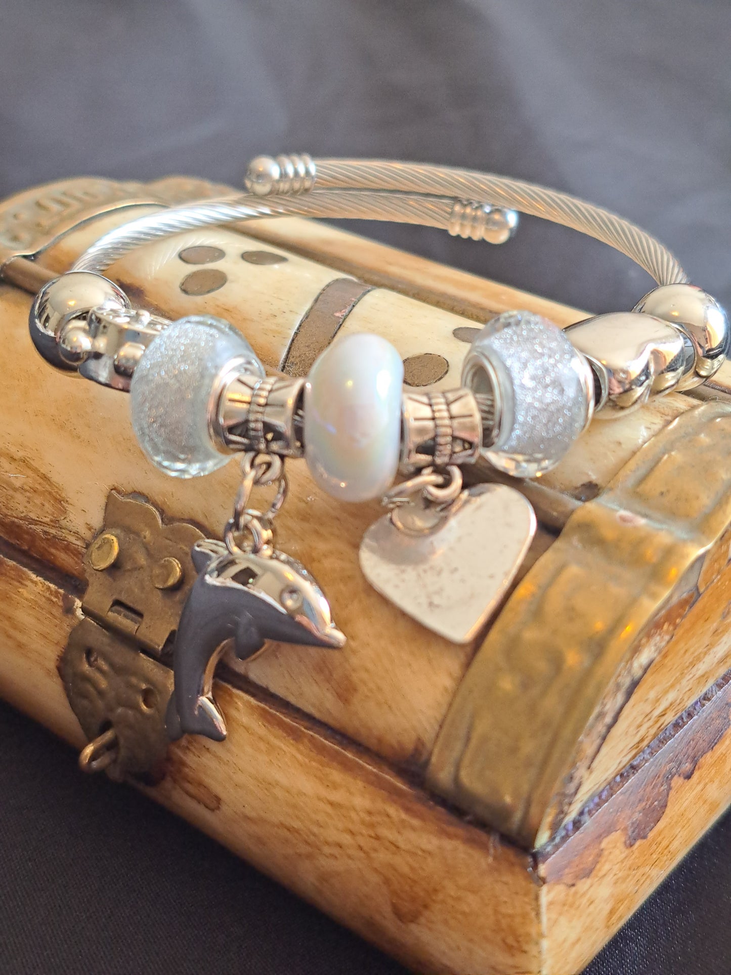 Reflective Dolphin Bracelet